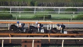 ベレヌス＆ミスニューヨーク、京成杯AH1週前追い切り速報/栗東トレセンニュース