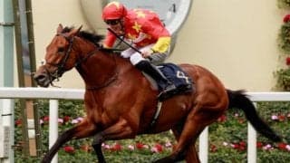 4ヶ国でG1を制したアイルランドの名馬が引退、種牡馬入り