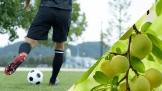 地方に移住して農業をしながらサッカー。スポーツで地域貢献するアスリートの新しい生き方