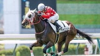 【次走】グラニットは放牧へ 未勝利戦を逃げて3馬身差Vのミルファーム所有馬