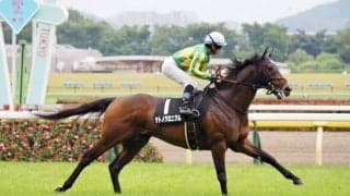 サトノクロニクルが競走馬登録抹消