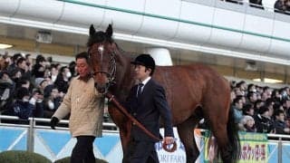 G3制したオーストラリアのモーリス産駒が故障で戦線離脱