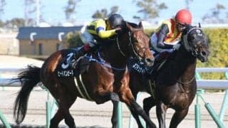 【新潟記念予想】ハンデ戦だからこそ人気薄の馬を選ぶと思いきや…上位人気に押されそうな一頭を指名！