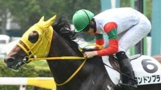 【小倉2歳S展望】スプリント路線の出世レース、好走傾向に合うあの馬に注目