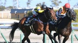 【新潟記念出走馬・騎手確定】ヒートオンビート＆池添謙一騎手、サンレイポケット＆鮫島克駿騎手など18頭