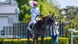 【小倉2歳S出走馬・騎手確定】クリダーム＆武豊騎手、プロトポロス＆福永祐一騎手など13頭