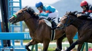 【札幌2歳S出走馬・騎手確定】ブラストウェーブ＆川田将雅騎手、ダイヤモンドハンズ＆福永祐一騎手など14頭