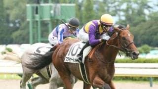 【新馬/新潟5R】リアルスティール産駒 フライヤートゥルーがデビューV