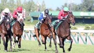 【新潟2歳S】連闘キタウイングが重賞初制覇