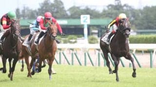 【新馬/新潟5R】キズナ産駒 クロスライセンスがデビューV