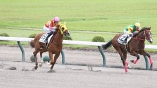 【新馬/新潟6R】エコロアイが人気に応える