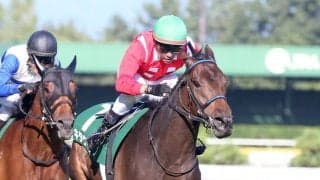 【新潟2歳S】戸崎「連闘で頑張ってくれた」連闘キタウイングが重賞初V