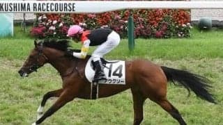 小倉２歳Ｓはディープインパクト系の牝馬に期待。のちにGⅠ戦線へと羽ばたきそうな２頭は？