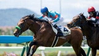 【札幌2歳S枠順確定】ブラストウェーブは4枠6番、ダイヤモンドハンズは1枠1番