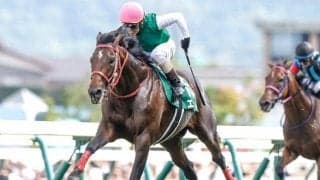 【新潟記念枠順確定】ヒートオンビートは3枠5番、エヒトは5枠9番