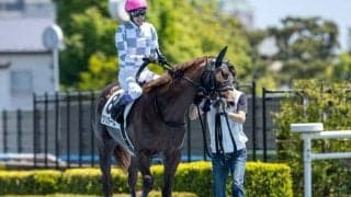 【小倉2歳S枠順確定】クリダームは4枠5番、プロトポロスは6枠9番