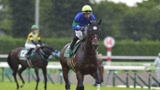 【次走】重賞2勝馬クレッシェンドラヴはオールカマーで復帰予定