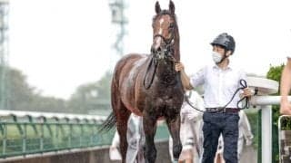 祖母はトウカイテイオーの全妹　ロバートソンキーはオールカマーへ