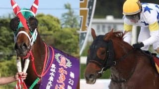 9月4日開催の韓国G3にラプタス、セキフウが出走予定　発走時刻はそれぞれ15時35分、16時35分