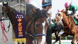 【京成杯AH想定】ベレヌス、ルークズネスト、クリノプレミアムなど重賞馬6頭が登録予定
