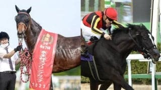 池添謙一騎手はメイケイエールに騎乗、ソングラインはルメール騎手/セントウルS出走想定馬