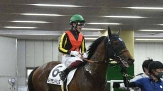 【札幌2歳S予想】2年続けてクラシックホースを輩出している注目の2歳戦