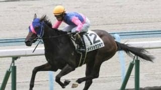 小倉２歳Ｓでの激走候補に牝馬２頭を抜擢。穴党記者「渋化馬場もこなせる算段」