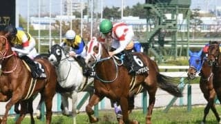 【新潟記念予想】最終週＋雨で大波乱必至!? 結果を左右する「重馬場適性」