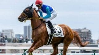 【札幌5R新馬戦結果】9番人気サラサハウプリティが内から抜け出す