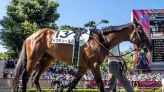 ドウデュース、マイラプソディがフランスに到着「元気に馬運車から降りてきた」