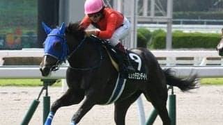 【小倉2歳S予想】キャリアは不要!? クラシックにも繋がる素質馬揃いの短距離戦