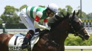 【小倉2歳S前日オッズ】プロトポロスが3.1倍で1番人気