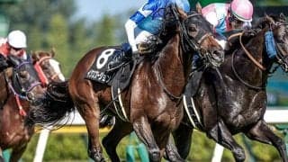 【新潟記念予想】距離延長馬に鬼門!? スタミナの問われる開催最終日の馬場