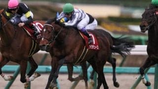 ドウデュース・マイラプソディがフランスに到着