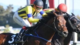 【AI予想・新潟記念】友道康夫調教師「真の思惑」は…？ 末脚堅実・ヒートオンビートが重賞初勝利に王手