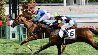 【新馬/札幌5R】ドレフォン産駒 サラサハウプリティがデビューV