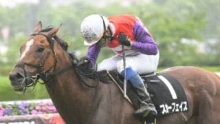 【新潟記念予想】多頭数のハンデ戦、サマー2000シリーズの最終戦を制するのは？