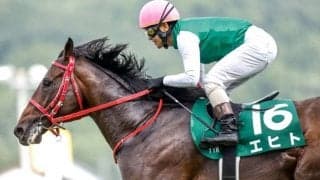 【新潟記念予想】人気馬同士の馬券は狙ってもお得じゃない？ 狙うは「枠の連続性」と「前走○○組」？