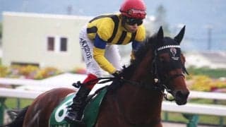 【新潟記念・馬体重】ヒートオンビートは480kg(+4)、カイザーバローズは462kg(+18)