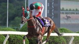 【コリアスプリント結果】地元のオマオマがV　日本のラプタスは競り合いに敗れ2着