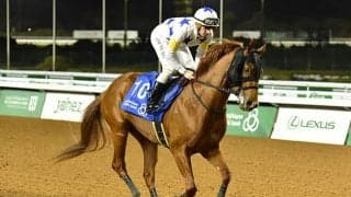 【コリアカップ結果】ウィナーズマンが差し切り地元馬ワンツー　日本のセキフウは3着