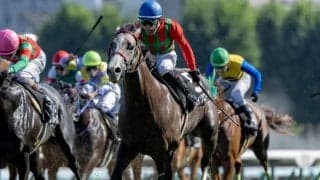 クローバー賞に続きJRAのOP戦を地方所属馬が制覇　鞍上はいずれも丹内祐次騎手