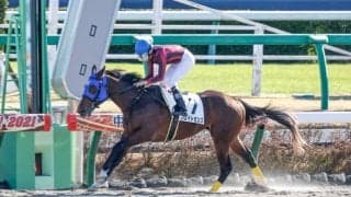 9月4日の競走中止、競走除外、疾病の一覧 横山琉人騎手の落馬負傷など/札幌・新潟・小倉