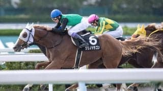 【西日本スポーツ杯】武豊 クリノドラゴンがオープン入り