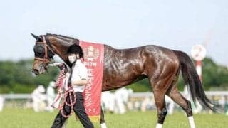 中山・中京開催がスタート　JRAではセントウルSなど3重賞/今週の競馬界の見どころ