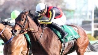 【紫苑S登録馬】スタニングローズなど13頭