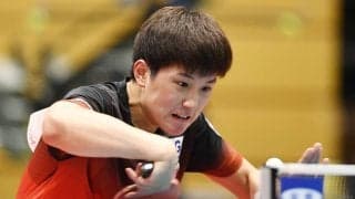 張本智和 中学2位の渡部に貫禄のストレート勝ちで初戦突破【卓球 全農CUP TOP32】