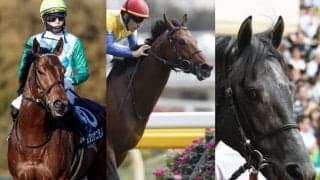 ネズコ、オヌシナニモノなどが競走馬登録を抹消　重賞馬2頭もターフを去る