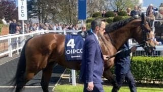 3歳馬コロエバスが予後不良に　イギリスでマイルG1を2勝
