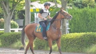 ユーバーレーベンなど近親に活躍馬多数　ゴールドシップ産駒のヴァイルマティなど/関東馬メイクデビュー情報